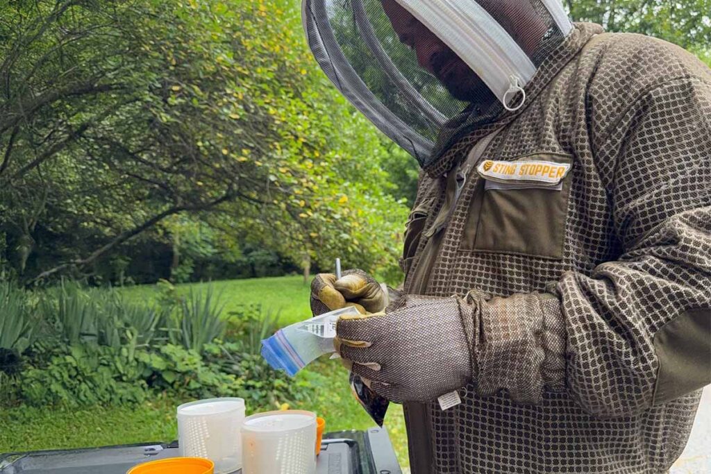 UF online entomology program graduate Dan Ronneberg, dressed in beekeeping suit, prepares to collect bees from a bee box.