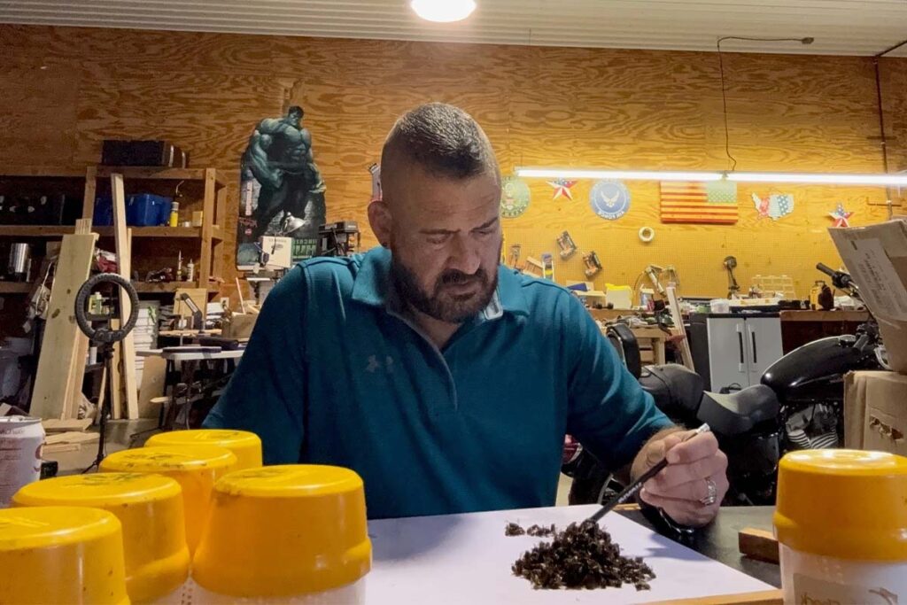 UF online entomology program graduate Dan Ronneberg inspects bees.